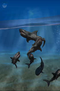 Shark Fingers! 3D Interactive Aquarium FREE on the App Store